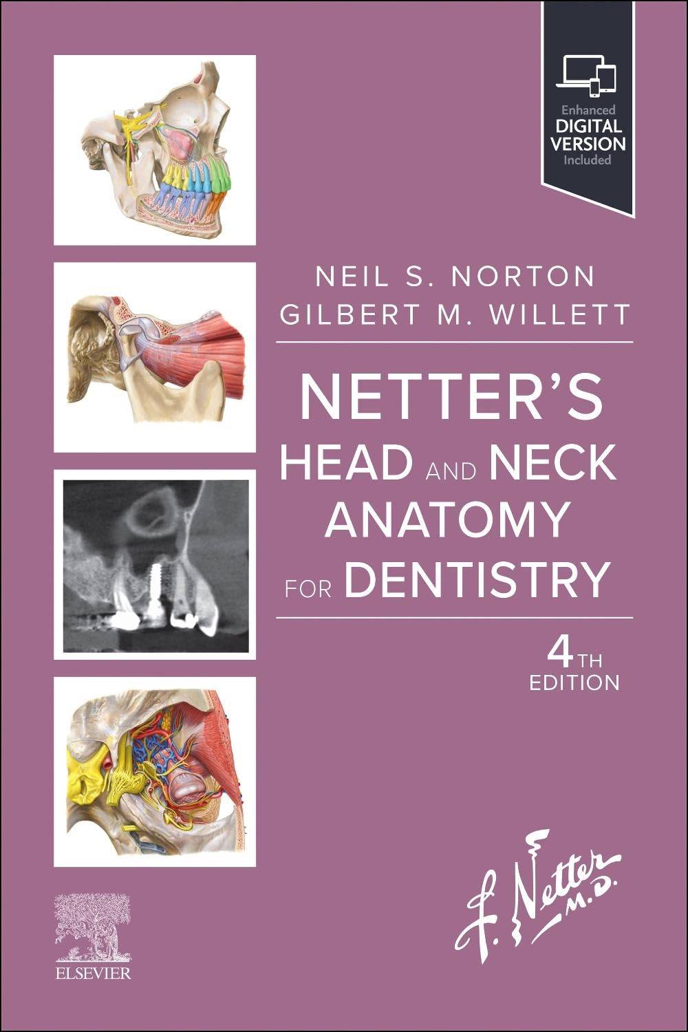 Anatomy_Dentistry