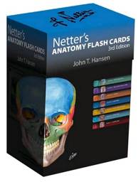 Netter's Anatomy Flash Cards: with Online Student Consult Access / Edition 3