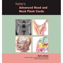 Netter's Advanced Head & Neck Flash Cards