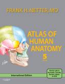Atlas of Human Anatomy, International Edition, 5th Edition