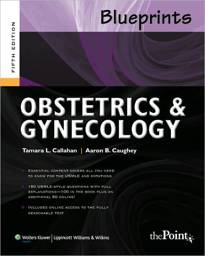 Blueprints Obstetrics and Gynecology / Edition 5