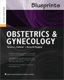 Blueprints Obstetrics and Gynecology / Edition 6