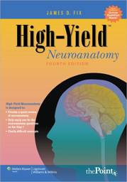 High-Yield Neuroanatomy / Edition 4