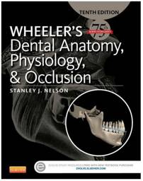 Wheeler's Dental Anatomy, Physiology and Occlusion, 10th Edition