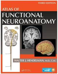 Atlas of Functional Neuroanatomy, 3rd Edition