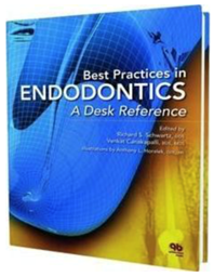 Best Practices in Endodontics: A Desk Reference, 1st Edition