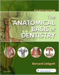 The Anatomical Basis of Dentistry, 4th Edition