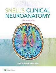 Snell's Clinical Neuroanatomy, 8th Edition